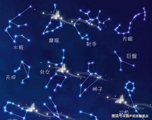 星座运势21年12月[新浪星座运势2024年]