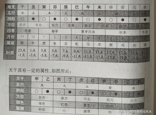 天干地支纪日计算方法(天干地支纪日怎么算)