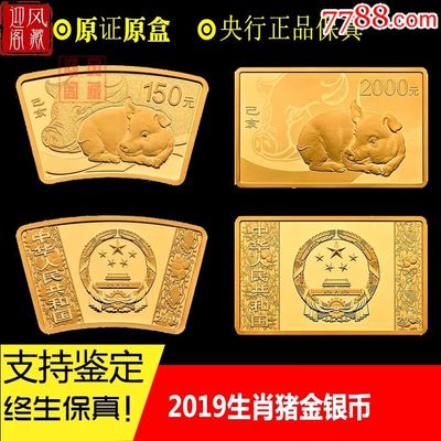 2019年生肖猪(2019年生肖猪是什么命)