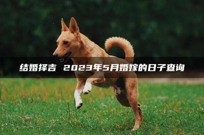 2023年宜婚嫁的黄历(2023年结婚最好的日子老黄历)