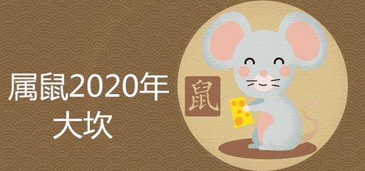 2020年鼠年运势(鼠年运势2020年运势如何)