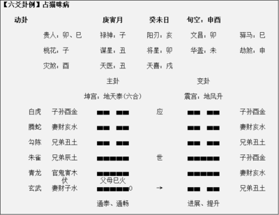 六爻卦例(六爻卦例讲解06)