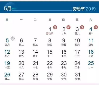 今年是什么年2019年属(今年是什么年2021年属)