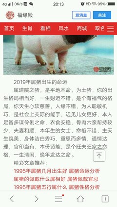 2019是什么年生肖(24年生肖运势)