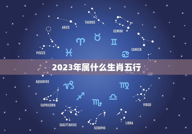 2023年是什么兔(2023年是什么兔年金兔还是木兔)