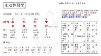 八字中婚姻宫指什么地支（八字中的婚姻宫）